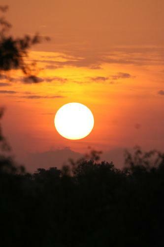 Lodge The Ibis - Wilpattu