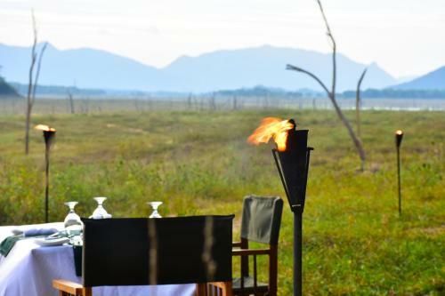 Explorer By Mahoora - Gal Oya National Park (All Inclusive)