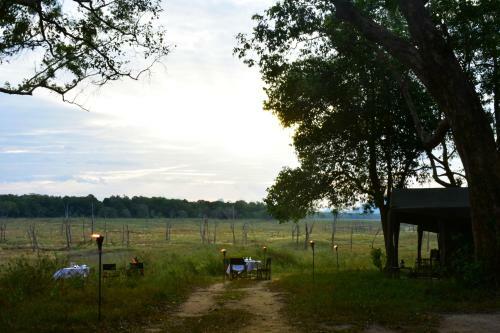 Explorer By Mahoora - Gal Oya National Park (All Inclusive)