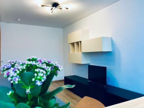 Taikos Apartamentai Nidoje