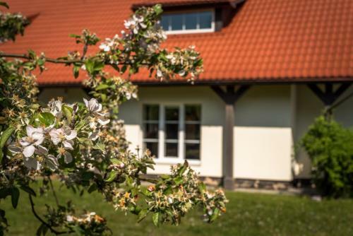 Hostal Karkl?s Villa - Prie J?ros
