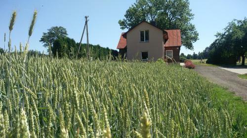 Agroturismo Sodyba Po Uosiu