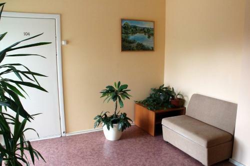 Hostal Achema Sve?i? Namai
