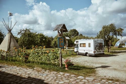 Sunny Nights Hostel