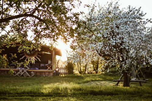Sunny Nights Hostel