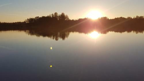 Sunny Beaver B&B