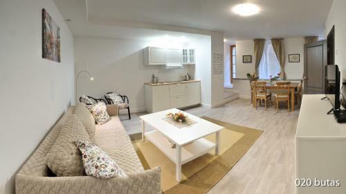 Luxurious Apartment