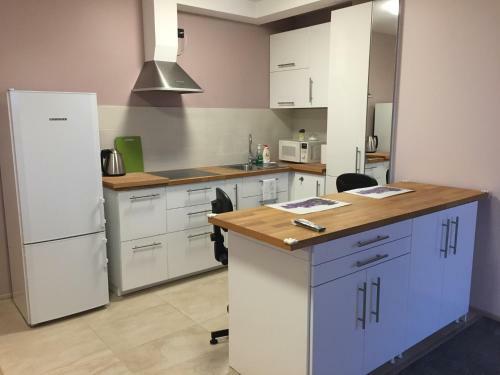 Apartamento Svitrigailos-in-center