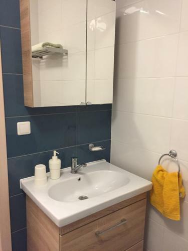 Apartamento Svitrigailos-in-center