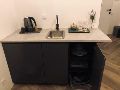 Vilnius Center Apartment - Old Town View