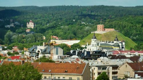 Vilnius Center Apartment - Old Town View