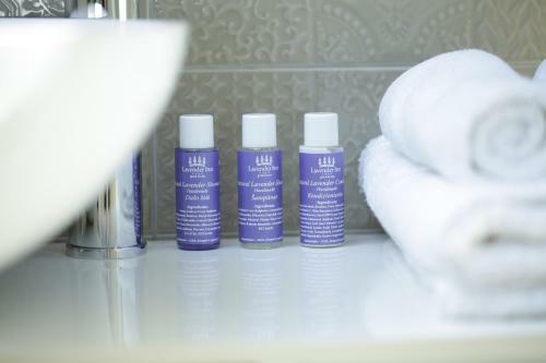 Hostal Lavender Inn Guest House