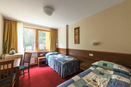 Hotel Oro Dubingiai