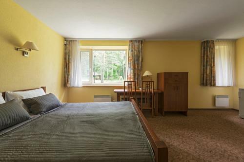 Hotel Oro Dubingiai