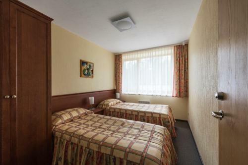Hotel Oro Dubingiai