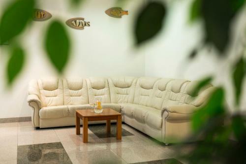 Hotel Oro Dubingiai