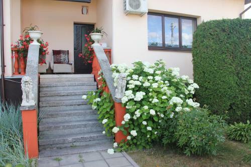 Hostal S. Ponycius Hotel Banga
