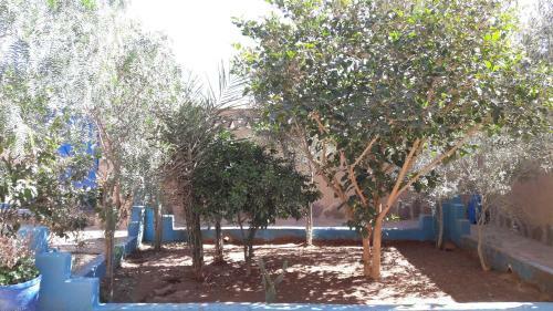 Riad Maison Mirage B&B