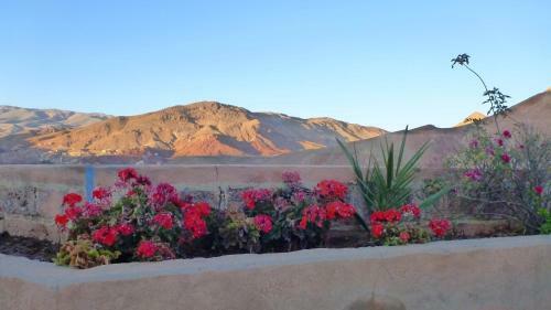 Hotel Kasbah Didis