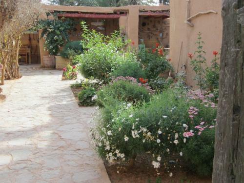 Bed & Breakfast Maison Nomades