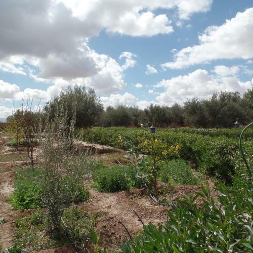 Agroturismo Tigmmi Bahamou