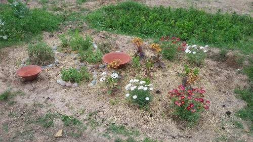 Agroturismo Tigmmi Bahamou
