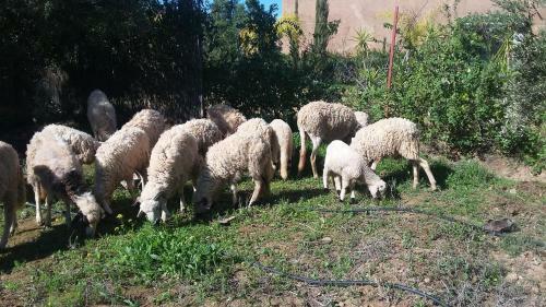 Agroturismo Tigmmi Bahamou
