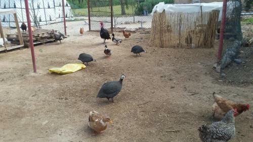 Agroturismo Tigmmi Bahamou
