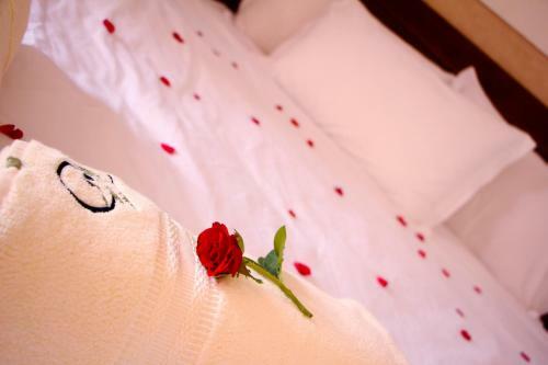 Hostal Le Chant Des Oliviers