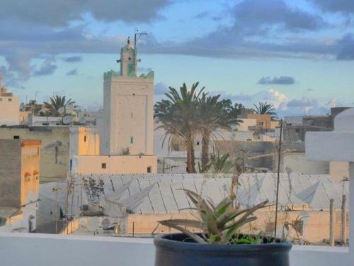 Riad7
