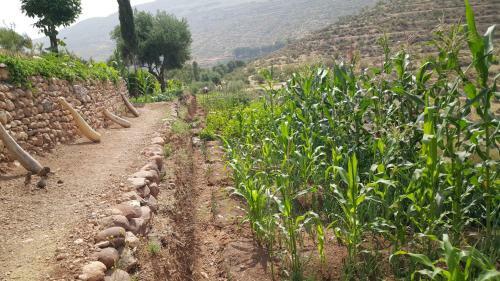 Posada Le Douar Berbere