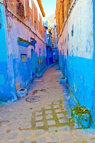 Hostal Dar Bleu Pearl