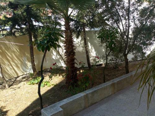 Apartamento Casa Zakaria