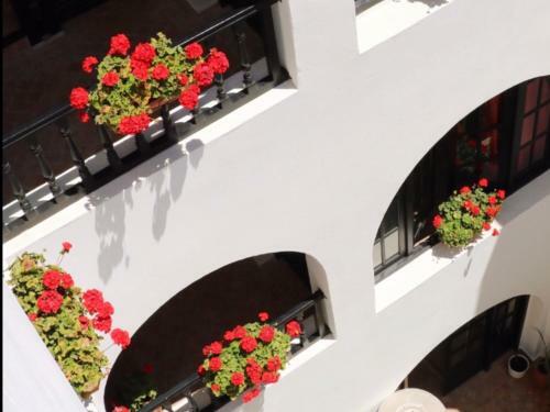 Hostal Riad Dar Awil