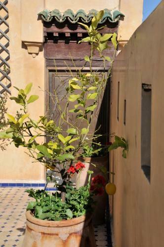 Riad La Chemin�e Bleue Fes
