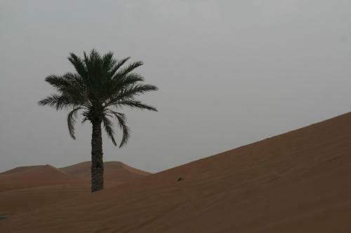 Bed & Breakfast Kasbah Casa Khamlia