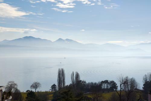 Hotel H�tel Bellerive