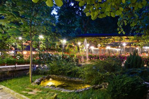 Hotel Edia