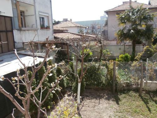 Apartments In House Silent Nature