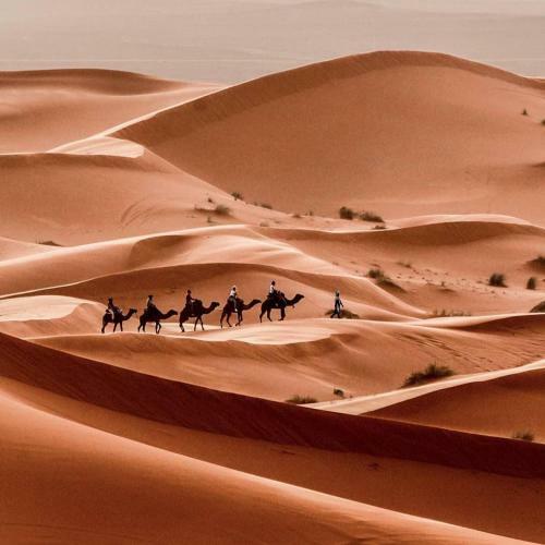 Magical Berber Camp
