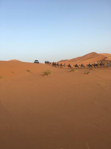 Desert Camp Under Stars