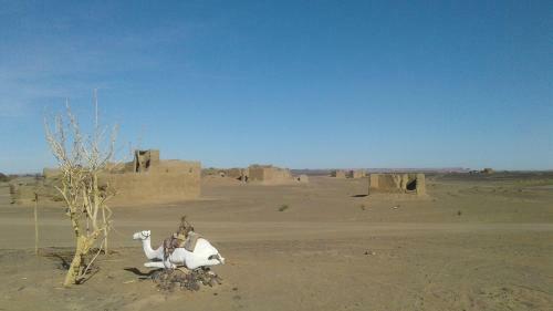 Bed & Breakfast Merzouga Nomad Camp