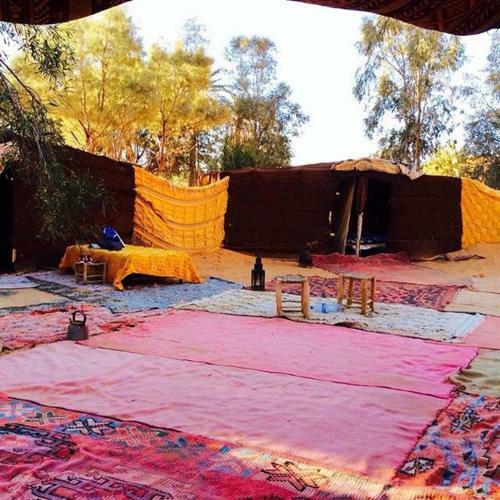 Berber & Camel Trek