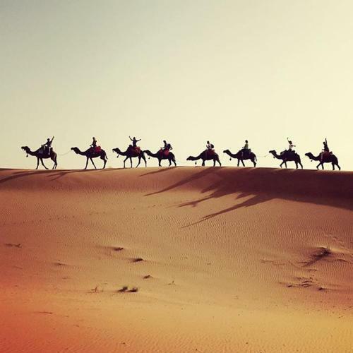 Berber & Camel Trek