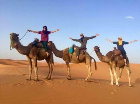 Berber & Camel Trek
