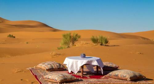 Berber & Camel Trek