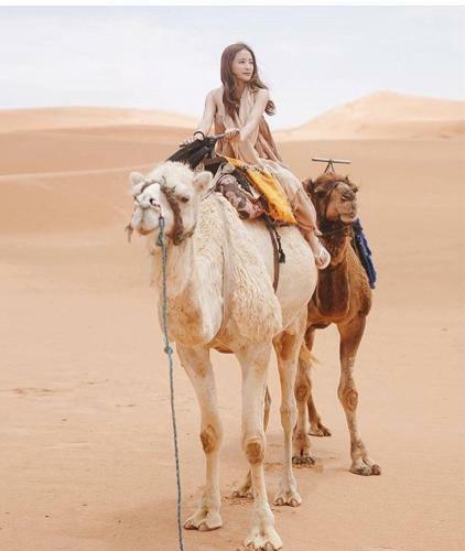 Berber & Camel Trek