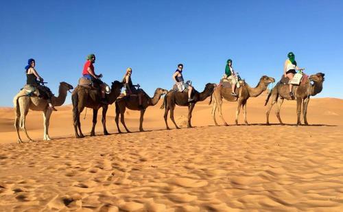 Berber & Camel Trek