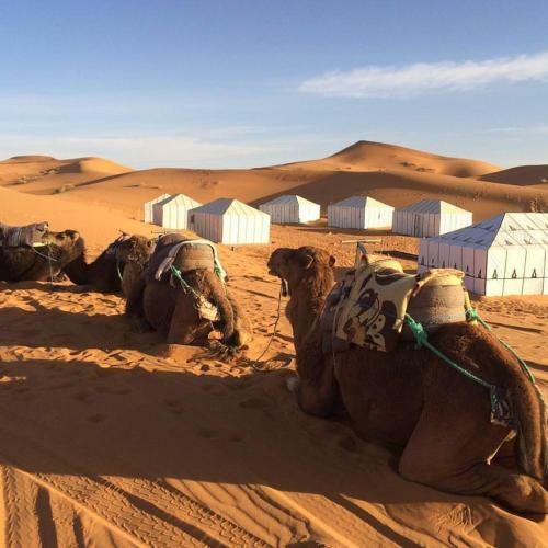 Sahara Morocco Luxury Camp