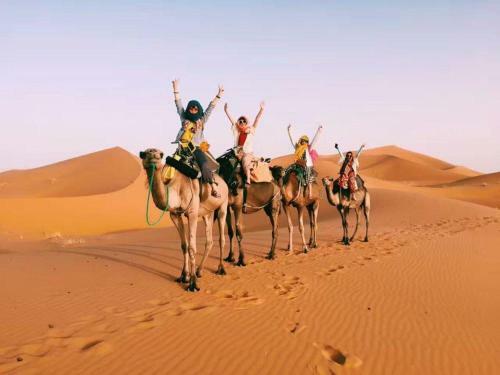 Merzouga & Camel Trekking Camp